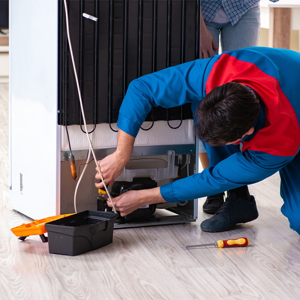 what are the common refrigerator repair services in Lester